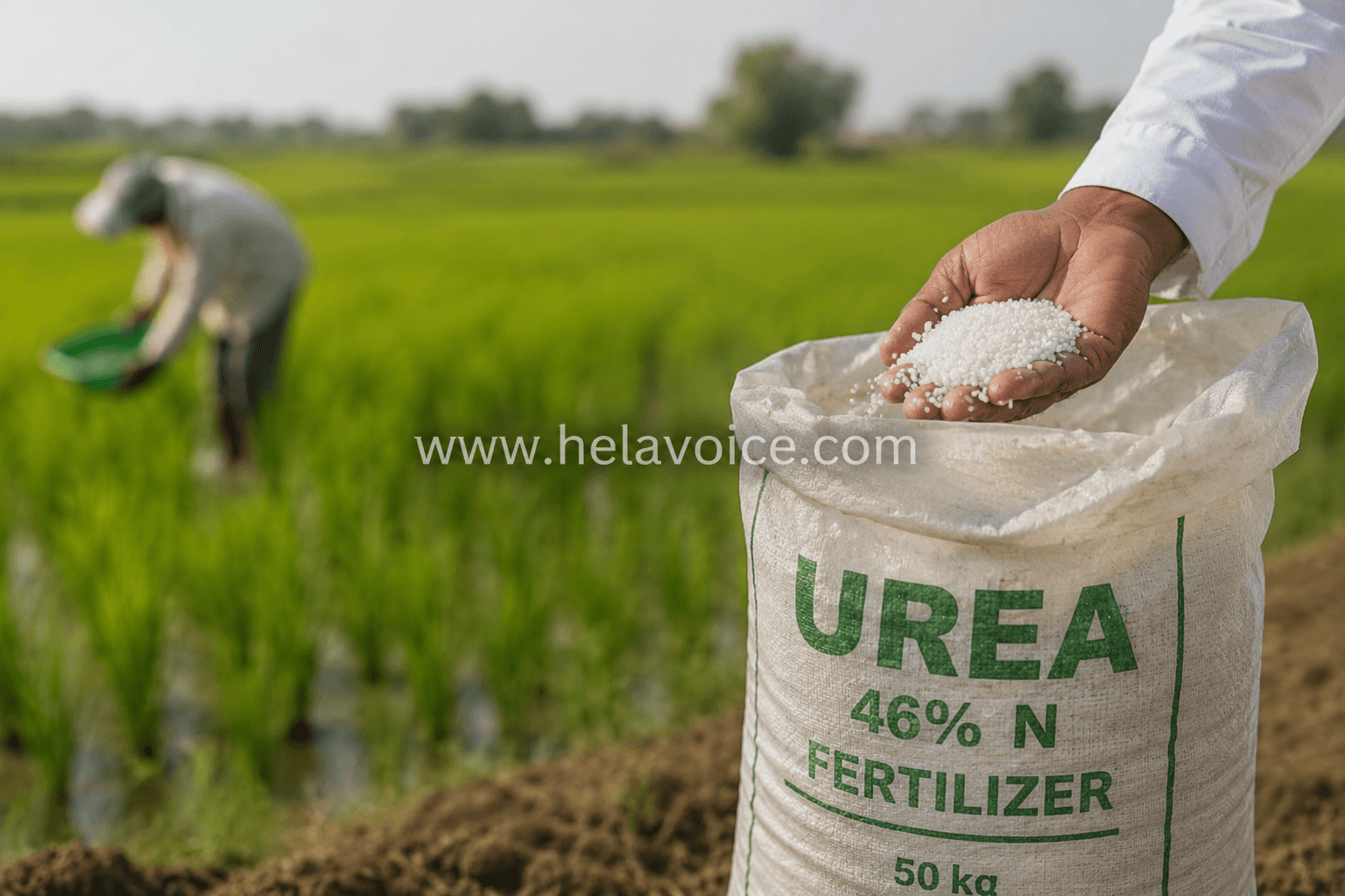 යූරියා පොහොර බෙදාහැරීමට පෞද්ගලික අංශයට අවසර