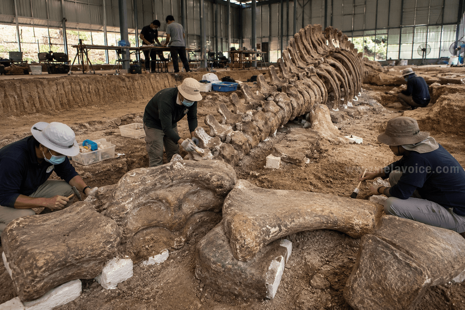 Scientists Discover Southeast Asia’s Largest Dinosaur in Thailand