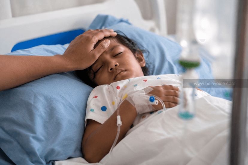 මෙනින්ජයිටීස් රෝගීන් 200ක් දක්වා ඉහළට – උණුකර නිවාගත් ජලය පානය කිරීමේ වැදගත්කම ගැන සෞඛ්ය අංශ අනතුරු අඟවයි